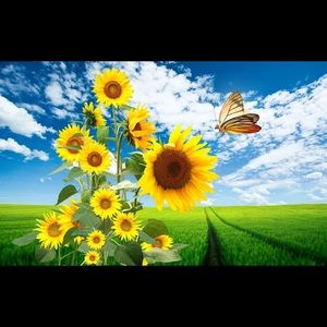 Meet your Posher, Linda